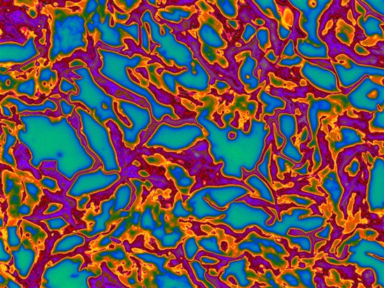 3D 自然老化皮肤模型 3D色素皮肤模型