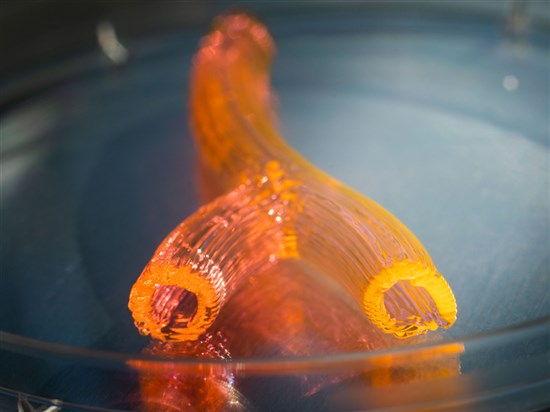 术中打印篇3D伤口愈合模型篇